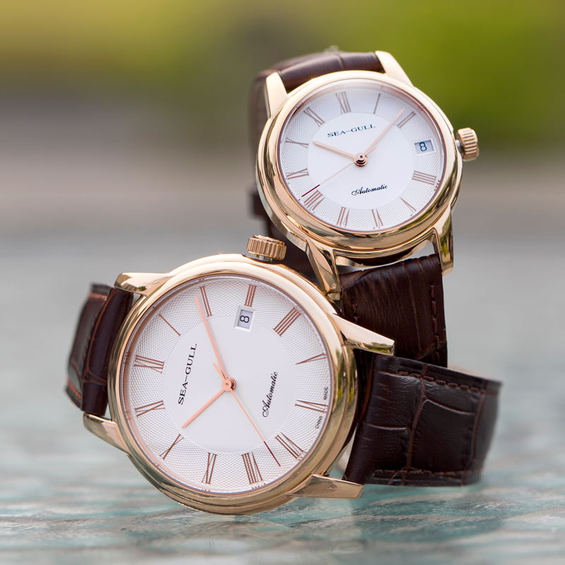 Seagull Mannen Mechanische Hor - Omega Watch Constellation recensie en prijs